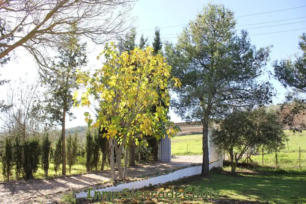 Casa rústica amb piscina en venda a Algodonales, imagen 5