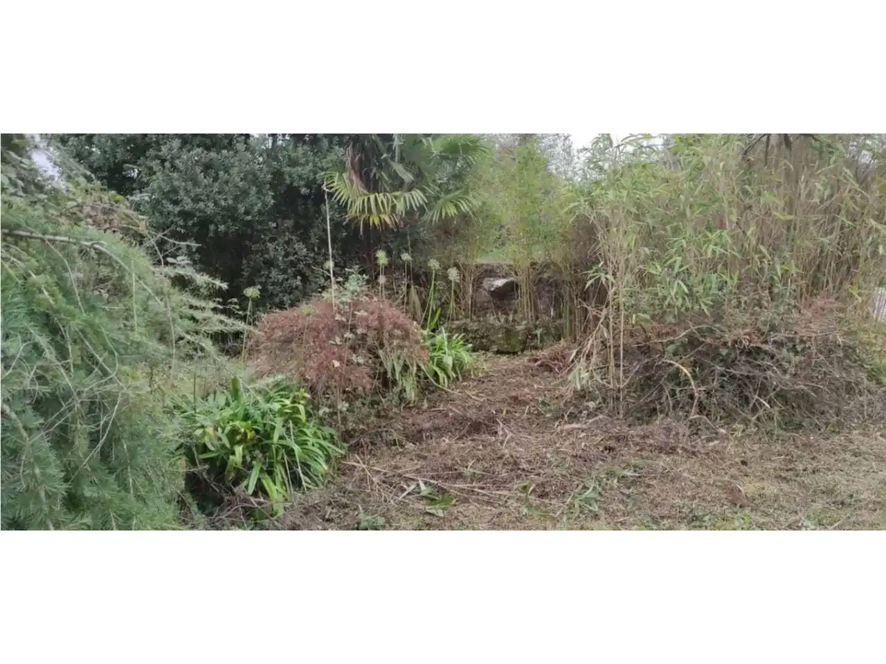 Terreny rústic en venda a Calle Lugar Barrabaite - Lamela 18, imagen 24