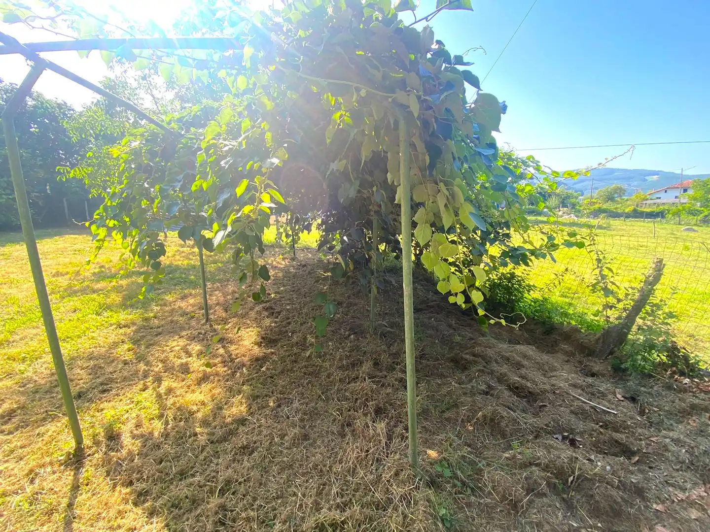 Garden of Houses for sale in Castro-Urdiales  with Heating, Private garden and Parquet flooring
