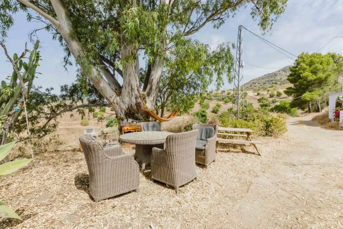 Maison avec terrasse à vendre à Diseminado R 38, imagen 44