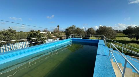 Photo 4 of House or chalet for sale in Pedanías Norte, Utrera