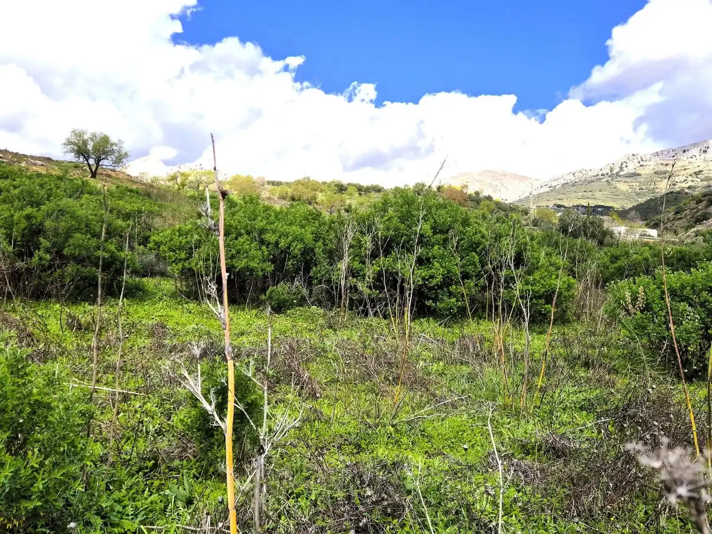 Wohnbaugrundstück zum Verkauf in Zona de la Vega, imagen 16