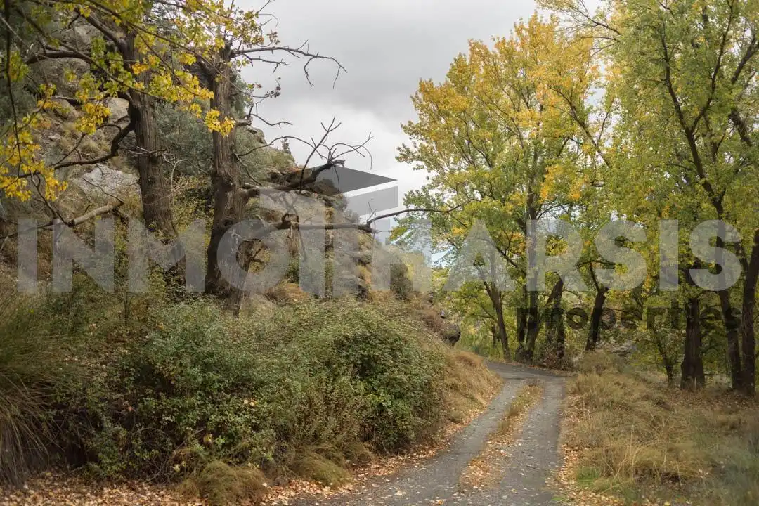 Vista exterior de Casa o xalet en venda en Abrucena amb Jardí privat, Terrassa i Moblat