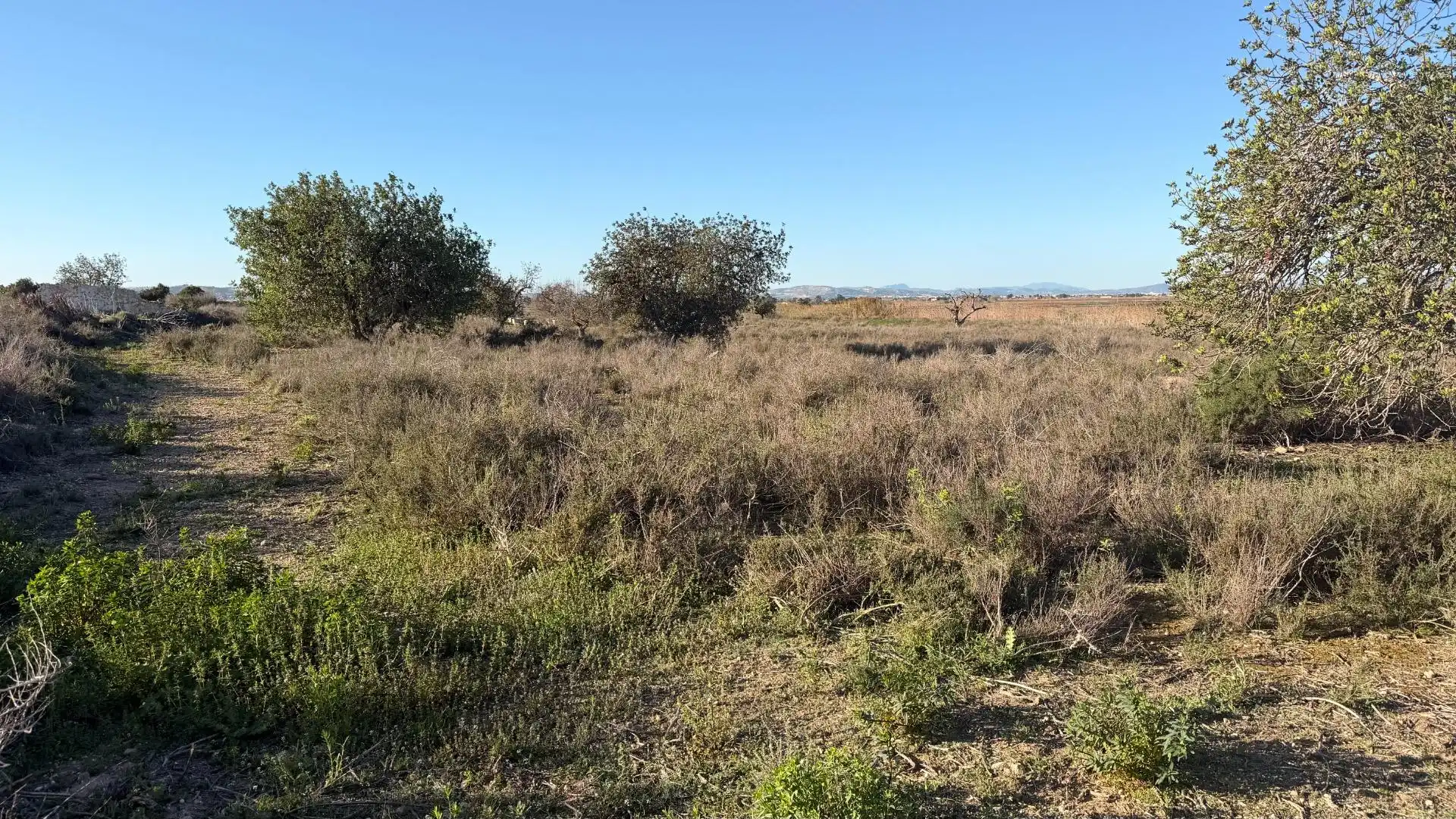 Terreno residencial en venta en La Marina, imagen 8