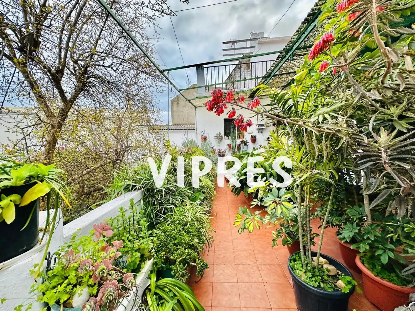 Vista exterior de Casa o chalet en venta en La Zarza (Badajoz) con Trastero