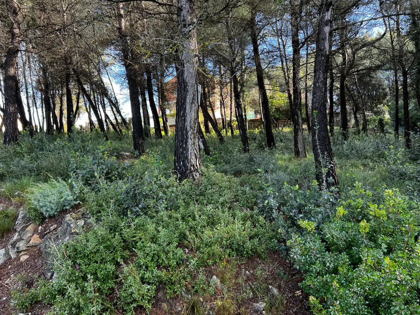 Residencial en venda en Olesa de Bonesvalls