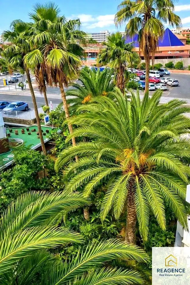 Vista exterior de Pis en venda en San Bartolomé de Tirajana amb Moblat