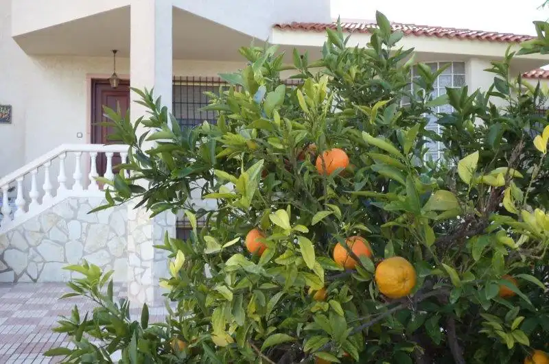 Jardí de Casa o xalet en venda en Mutxamel amb Calefacció, Jardí privat i Terrassa
