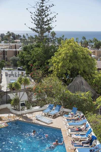 Vista exterior de Estudio en venta en Adeje con Terraza, Amueblado y Piscina comunitaria