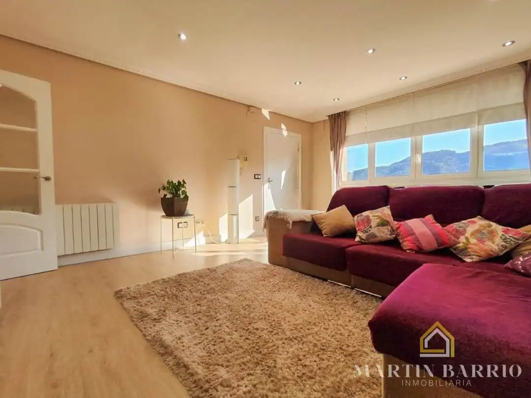 Sala de estar de Casa o chalet en venta en Muskiz con Calefacción, Jardín privado y Terraza