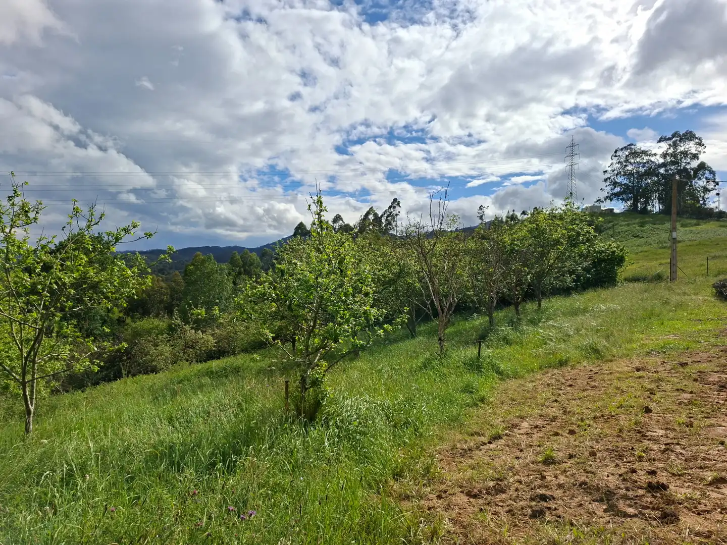 Residential land for sale in Corvera de Asturias, imagen 3