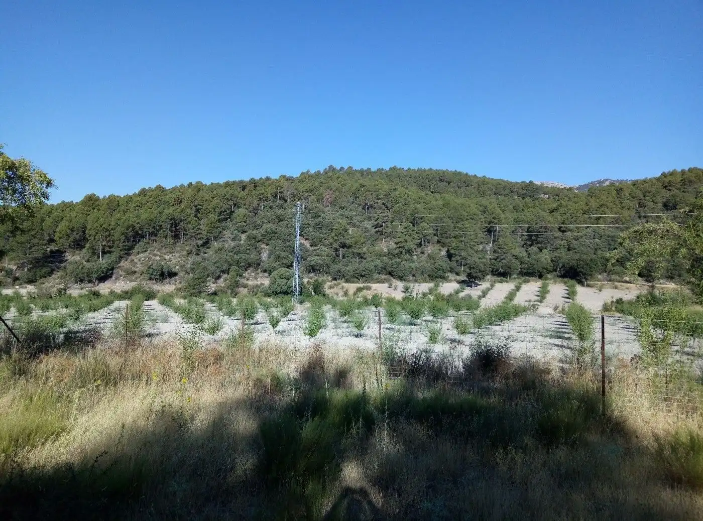 Terreni e lotti in vendita a Huéscar, imagen 65
