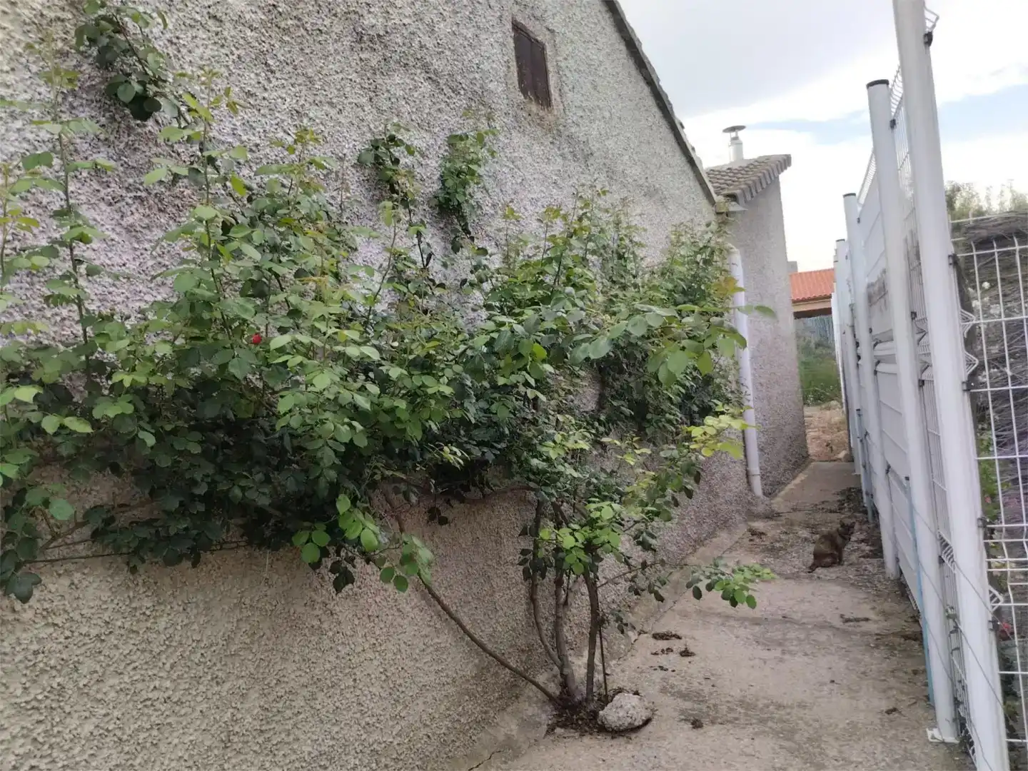 Piso en venta en Bulbuente, Zaragoza
