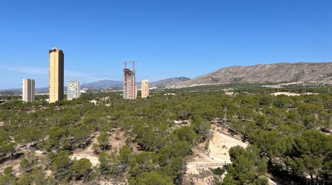 Foto 3 de Piso de alquiler en Avenida de Nicaragua, Foietes, Benidorm