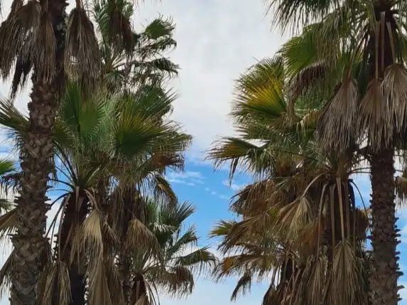 Vista exterior de Apartamento en venta en Costa Esuri