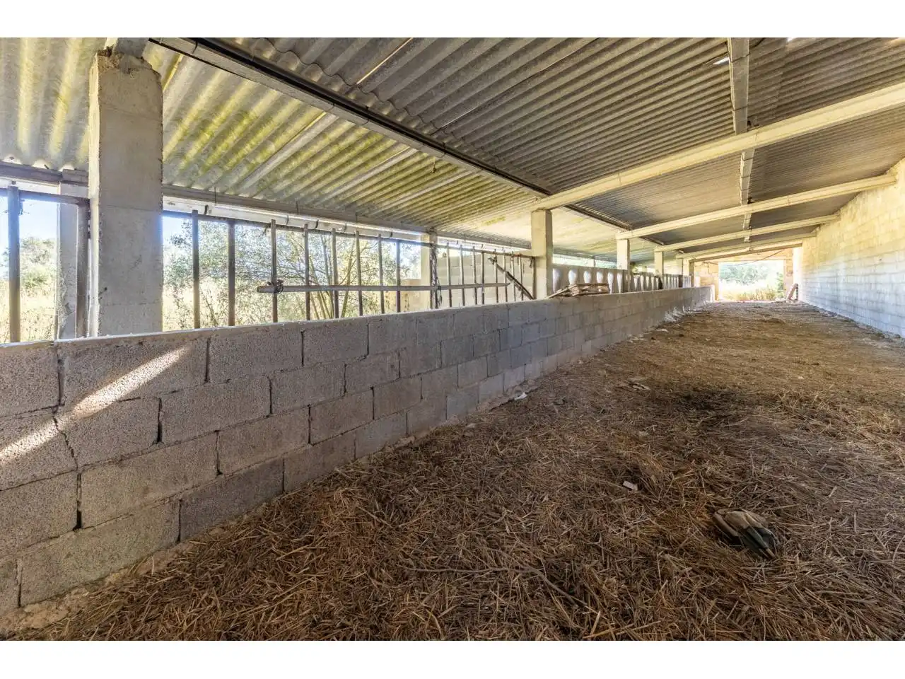 Terreno rustico in vendita a Llucmajor pueblo, imagen 77