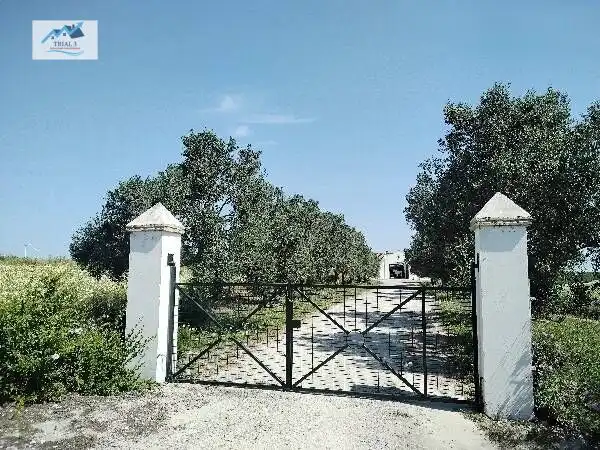 Rural land for sale in PAGO LOS TERCIO