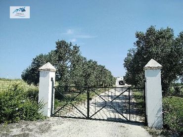 Terreno rustico in vendita a PAGO LOS TERCIO