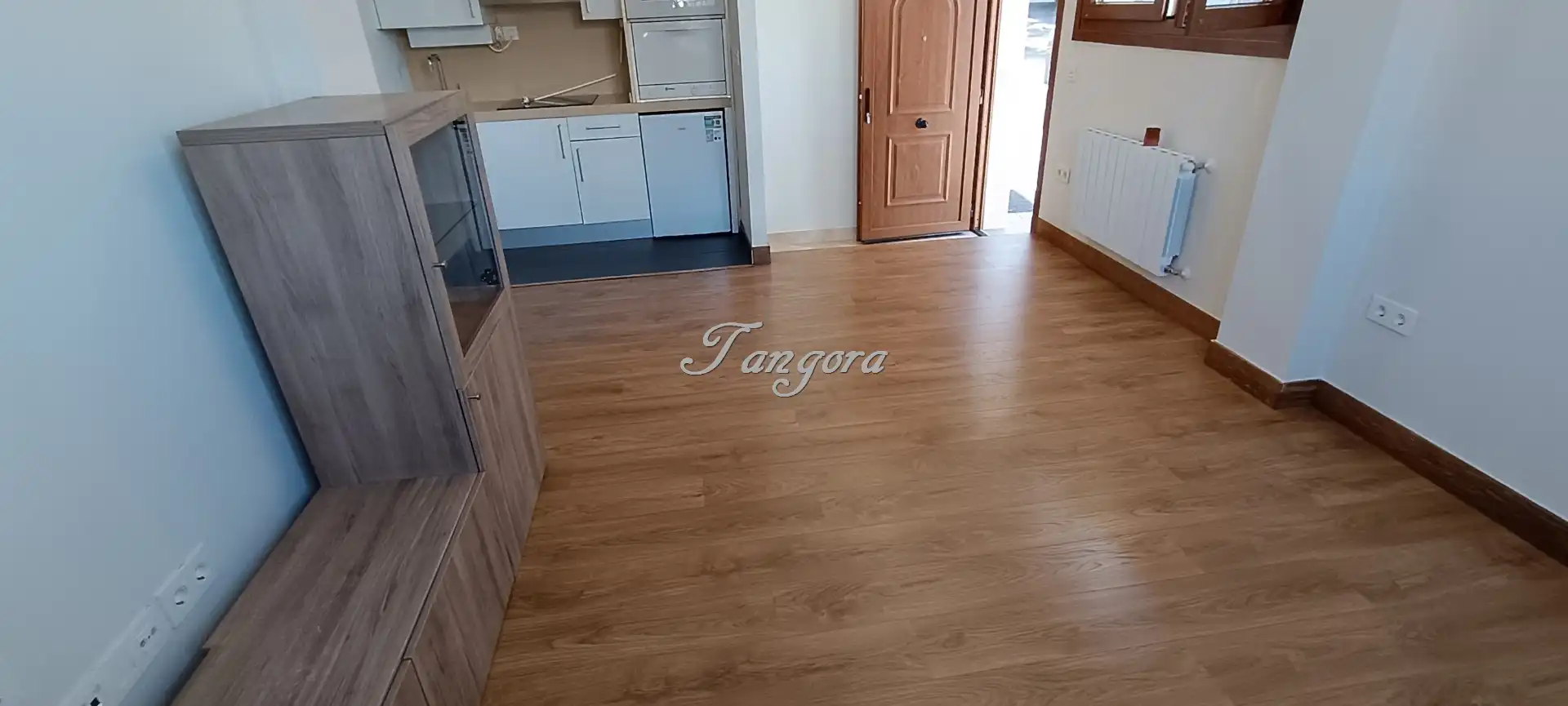 Living room of Apartments for rent in Getxo   with Heating, Parquet flooring and Furnished