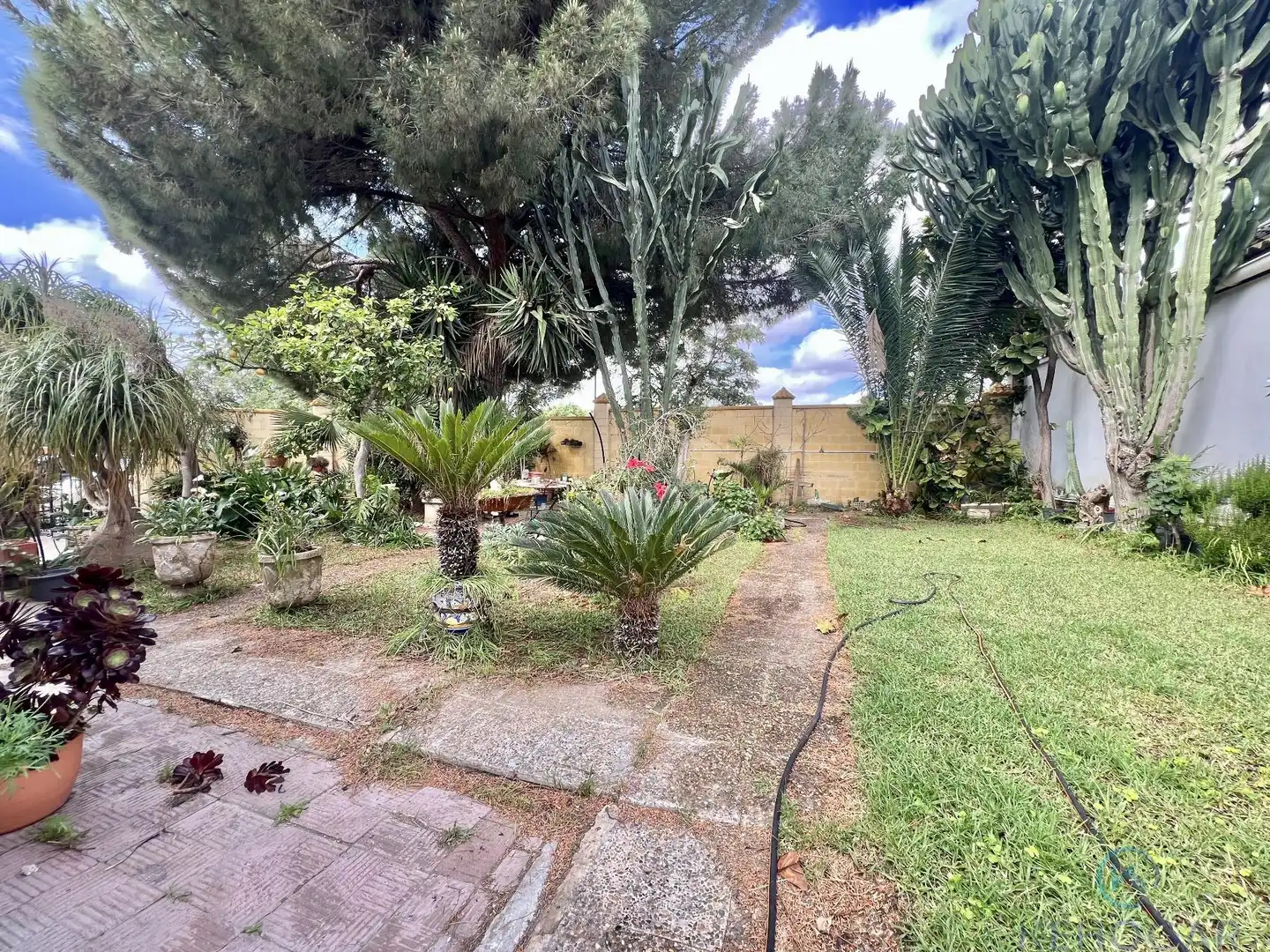 Jardín de Casa o chalet en venta en La Motilla - Fuente del Rey