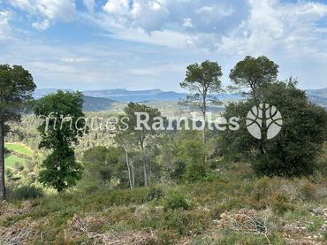 Residential land for sale in Carrer de Puig i Cadafalch 1501