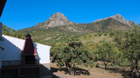 Foto 5 de Finca rústica en venta en Lugar Pentland, 1, El Gastor, Cádiz