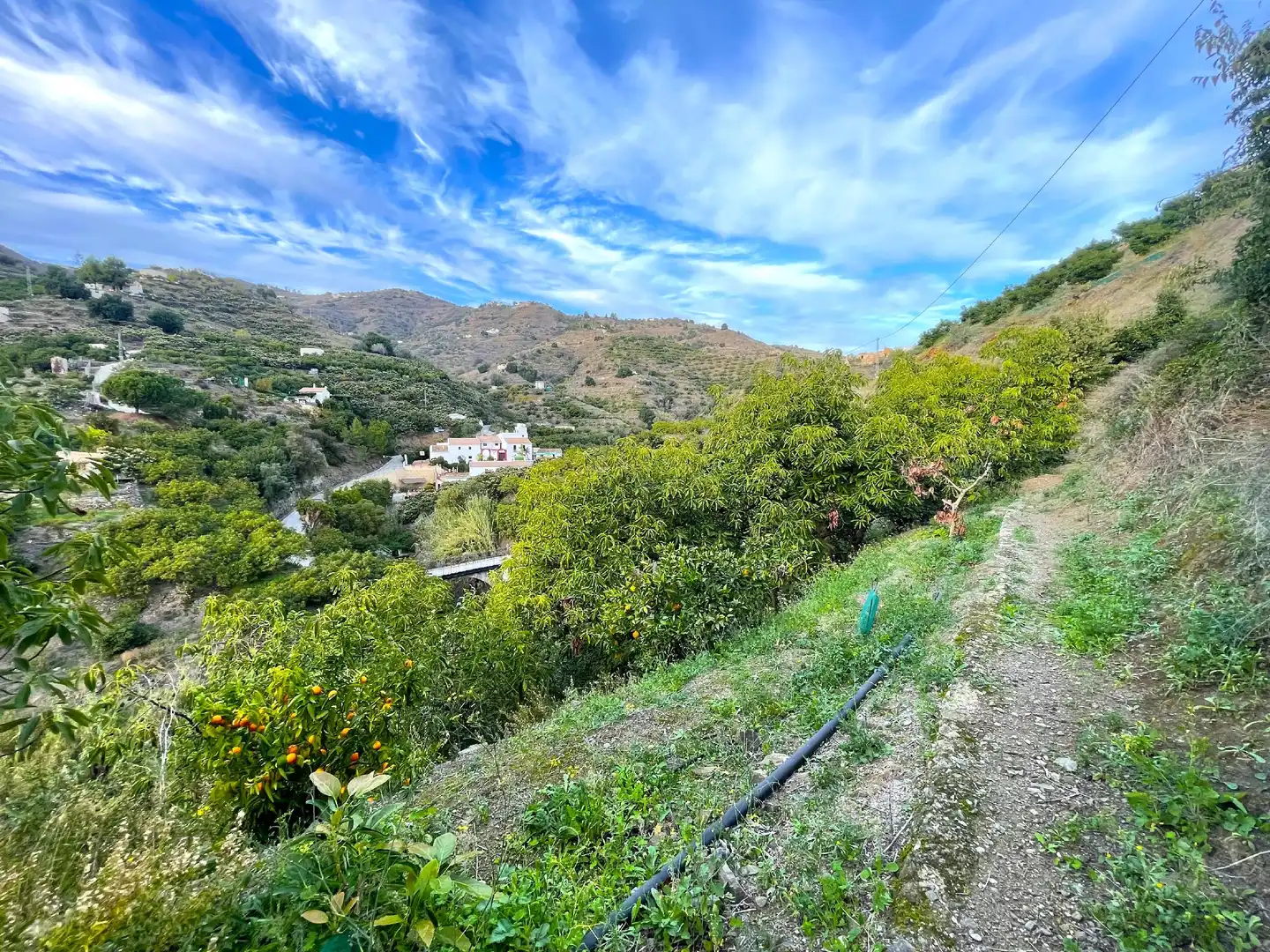 Casa rústica en venta en Sayalonga, imagen 8