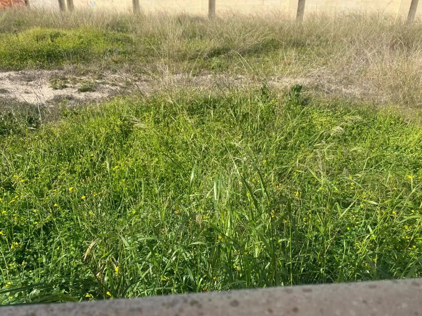 Terreno residencial en venta en Elche ciudad, imagen 21