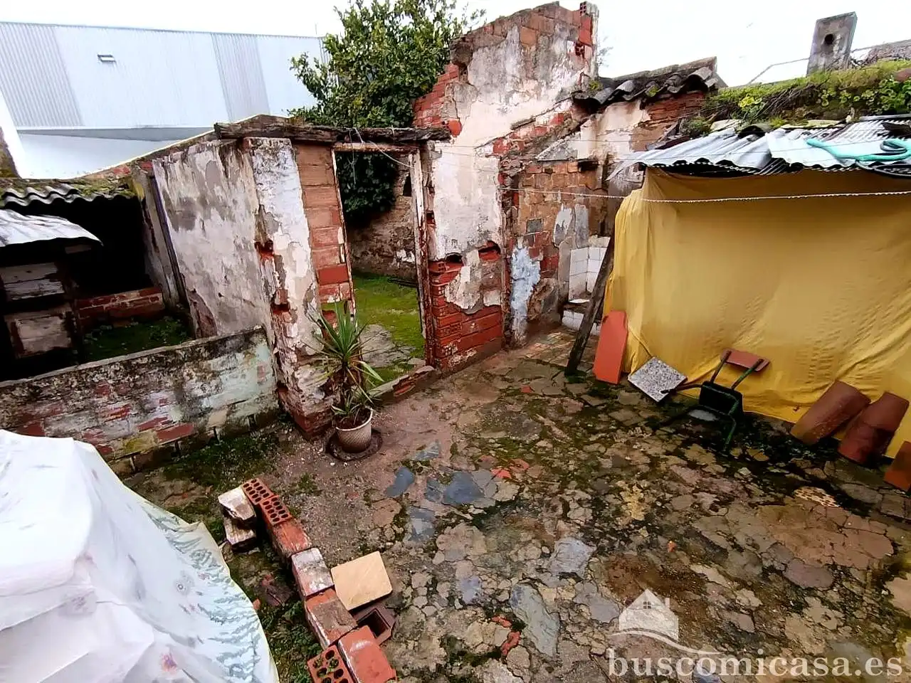 Jardín de Casa o chalet en venta en La Carolina