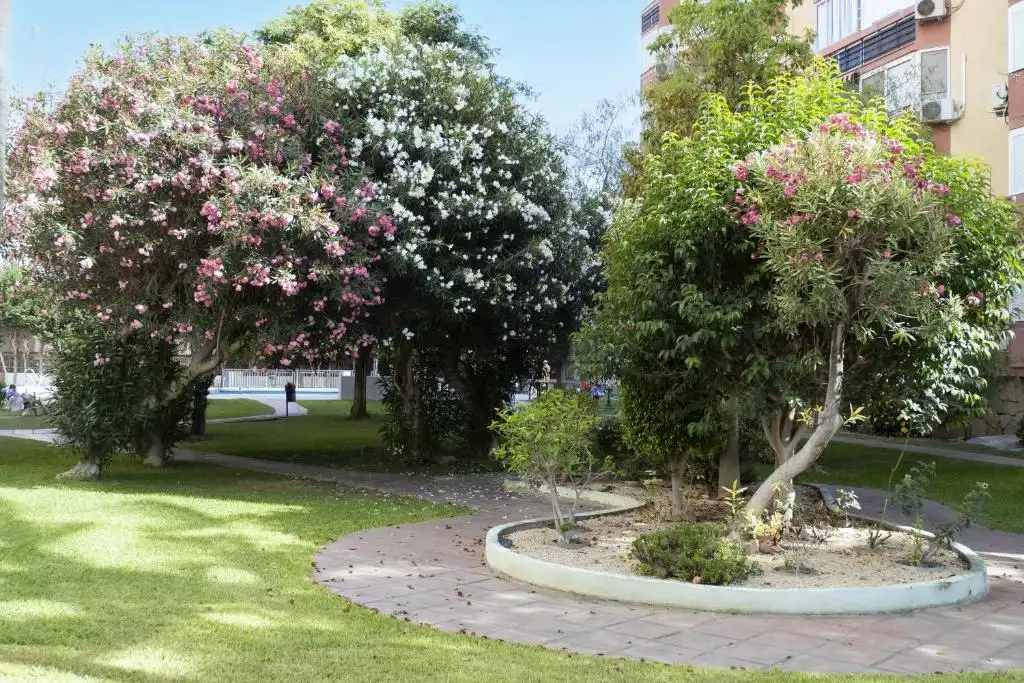 Garden of Study for sale in Vélez-Málaga  with Furnished and Community pool