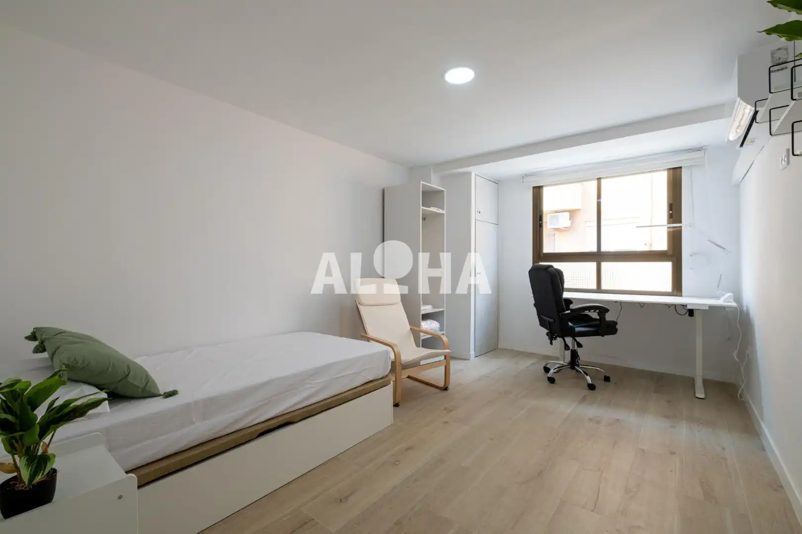 Apartments for rent in Alfara del Patriarca