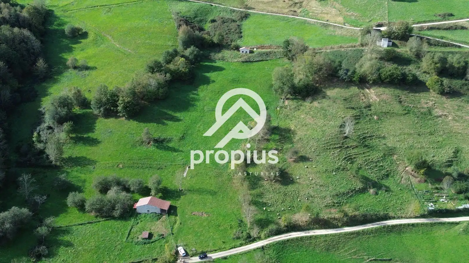 Rural land for sale in Inguanzo, imagen 18