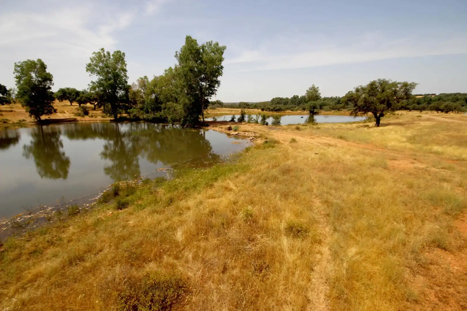 Finca rústica en venta en Alcuéscar con Aire acondicionado