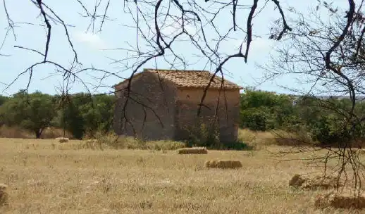 Terreny rústic en venda a Partida del Roquis, imagen 6