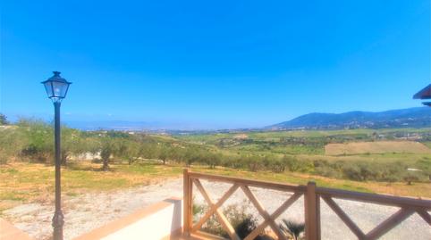 Foto 3 de Finca rústica en venda a Buenavista - Lauro Golf, Alhaurín de la Torre