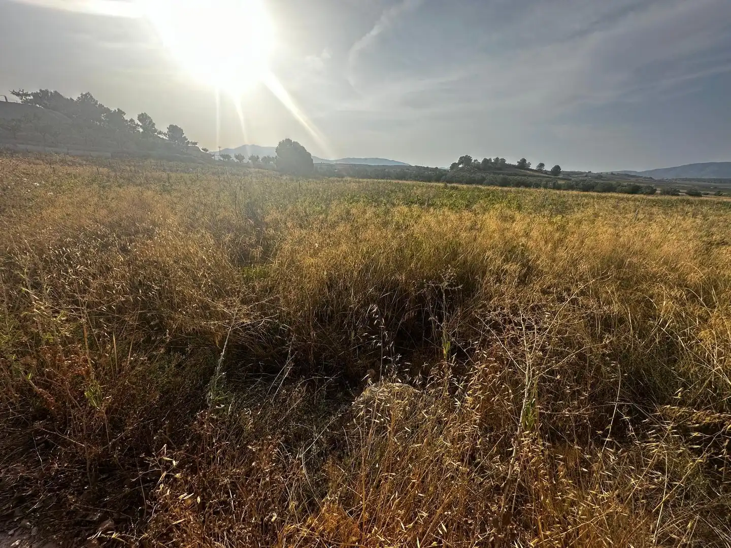 Wohnbaugrundstück zum Verkauf in El Pinós / Pinoso, imagen 4