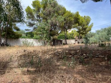 Residential land for sale in Paichi