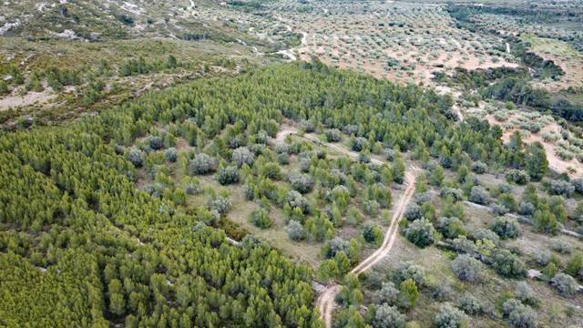 Terreno en Venta en Plaza País Valencia, 5 en Canet lo Roig