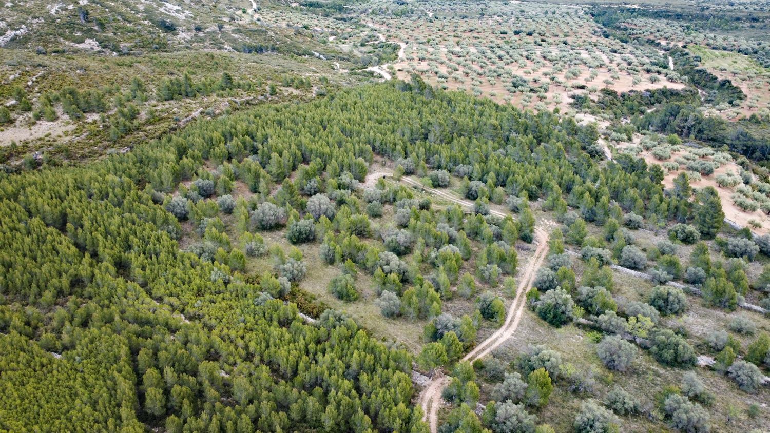 Grundstücke zum verkauf in Canet lo Roig