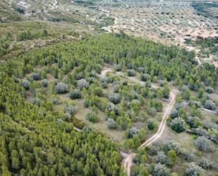 Land for sale in Canet lo Roig