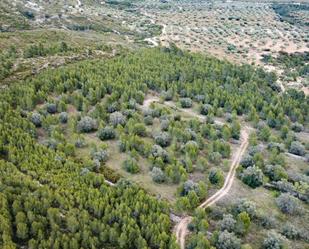 Terreny en venda en Canet lo Roig