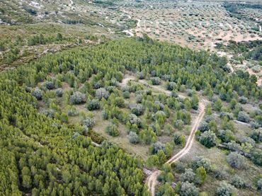 Terreno rustico in vendita a Plaza País Valencia 5