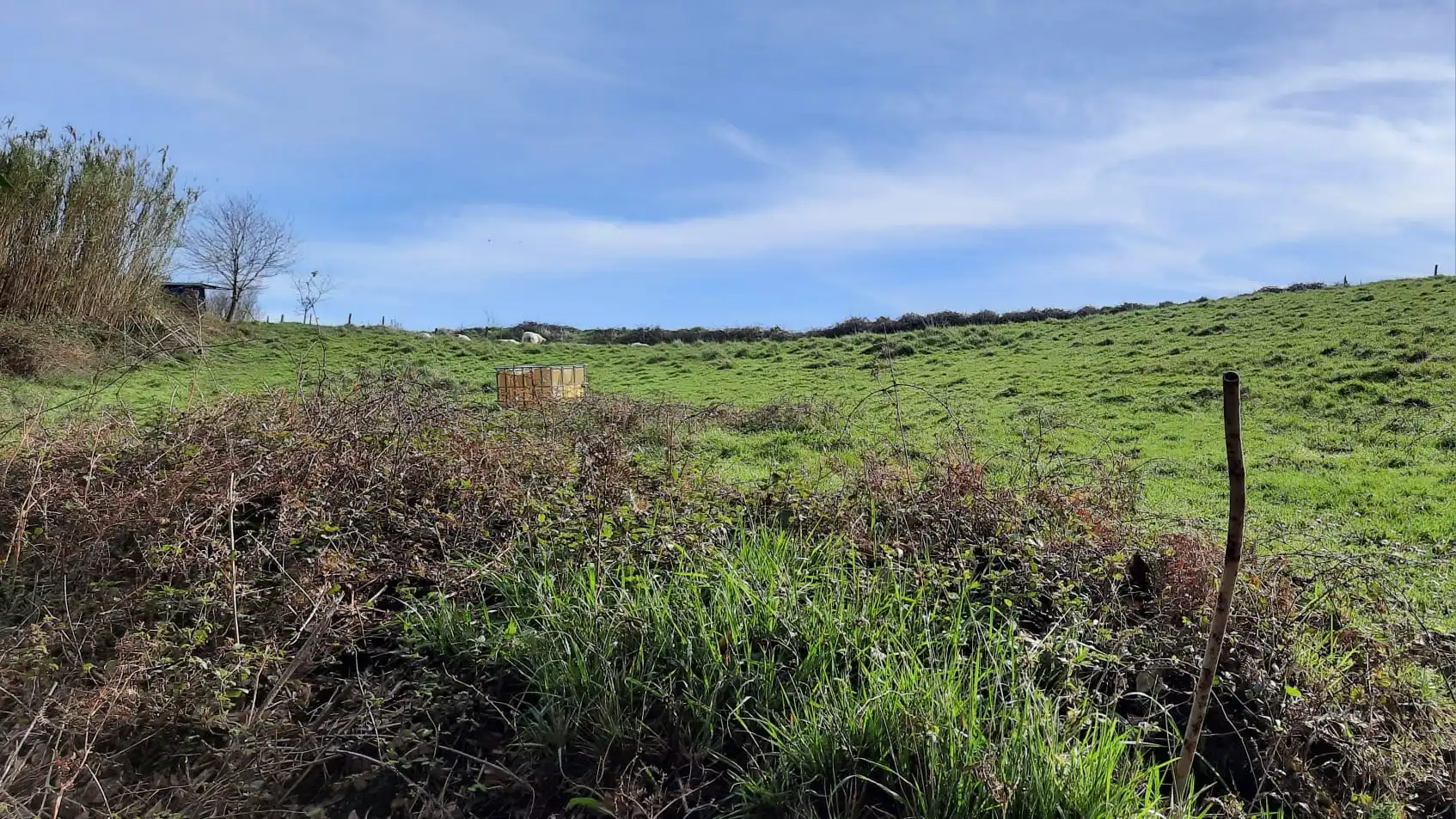 Finca rústica en venta en Plentzia con Jardín privado
