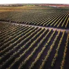 Terreni e lotti in vendita a Villanueva del Río y Minas