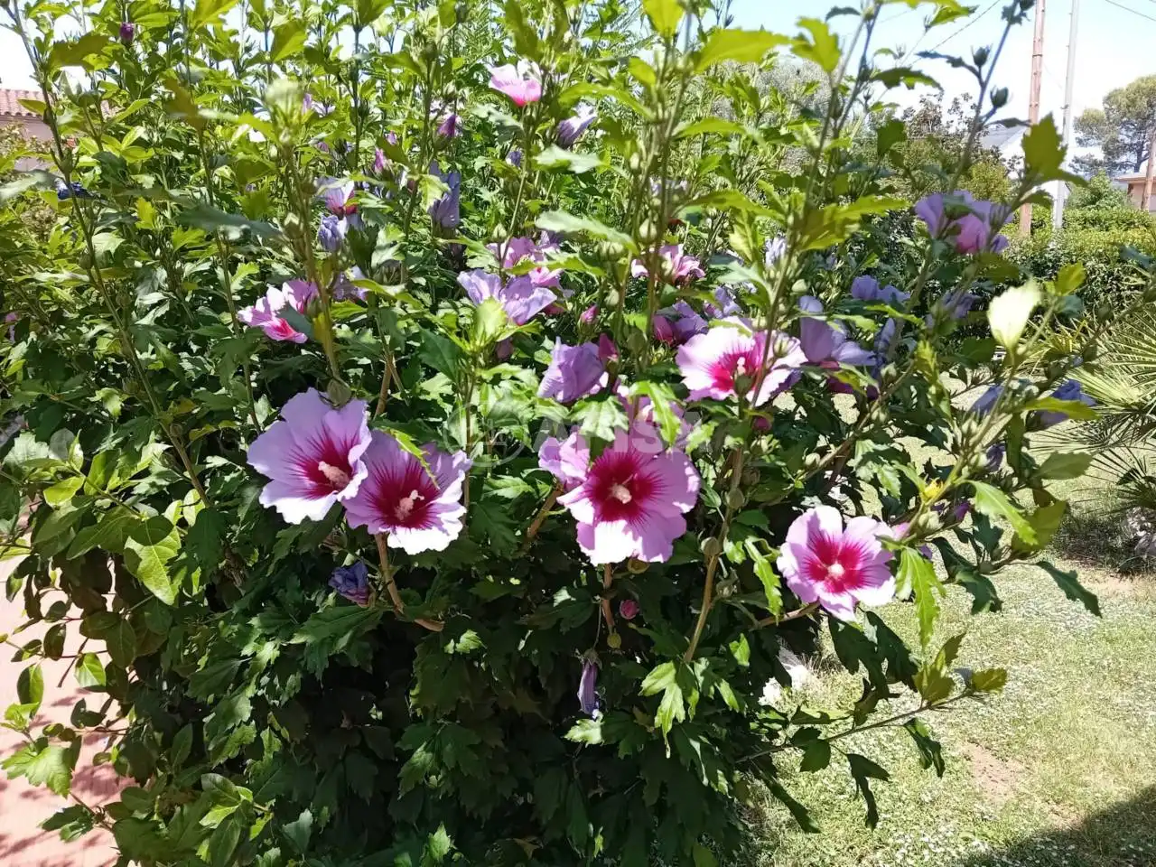 Xalet amb jardí en venda a Sant Antoni de Vilamajor, imagen 17