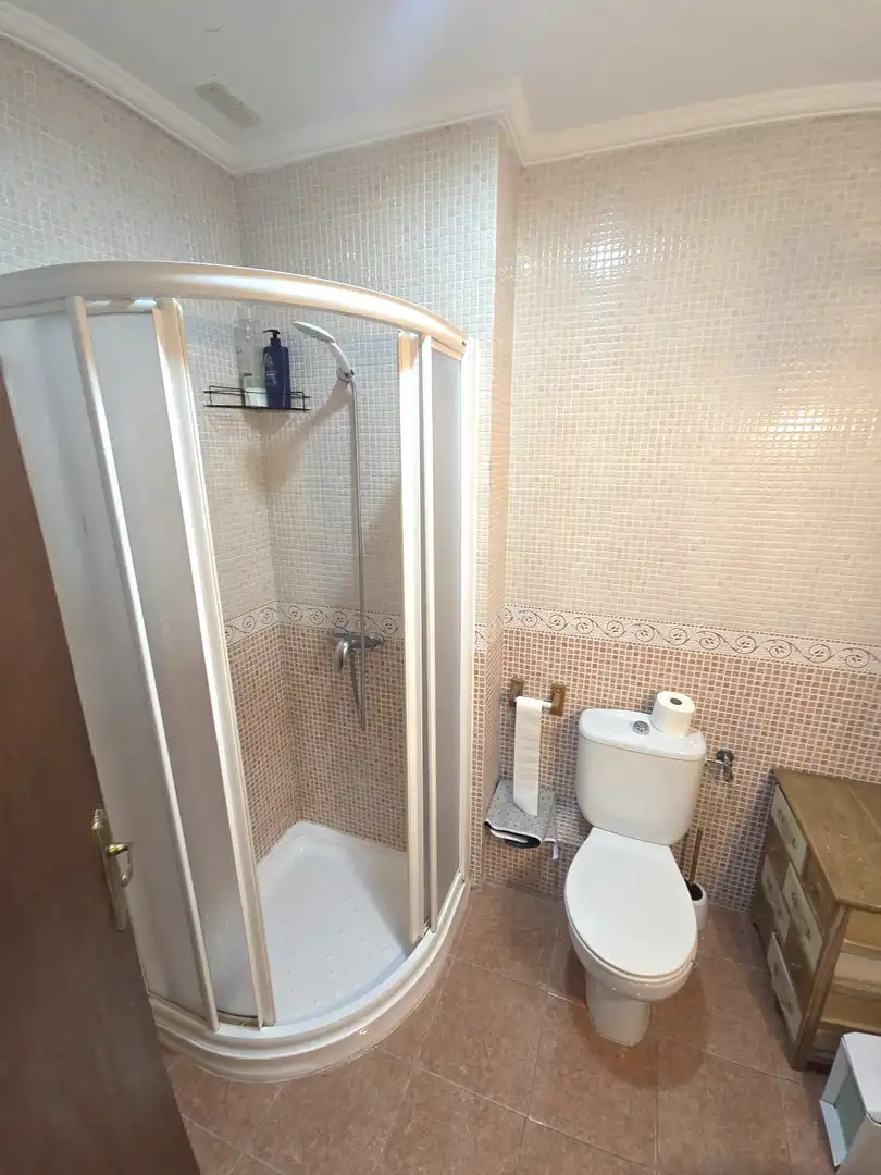 Bathroom of Flat for rent in Cáceres  with Terrace and Furnished