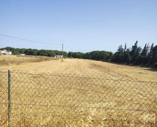 Residencial en venda en Conil de la Frontera