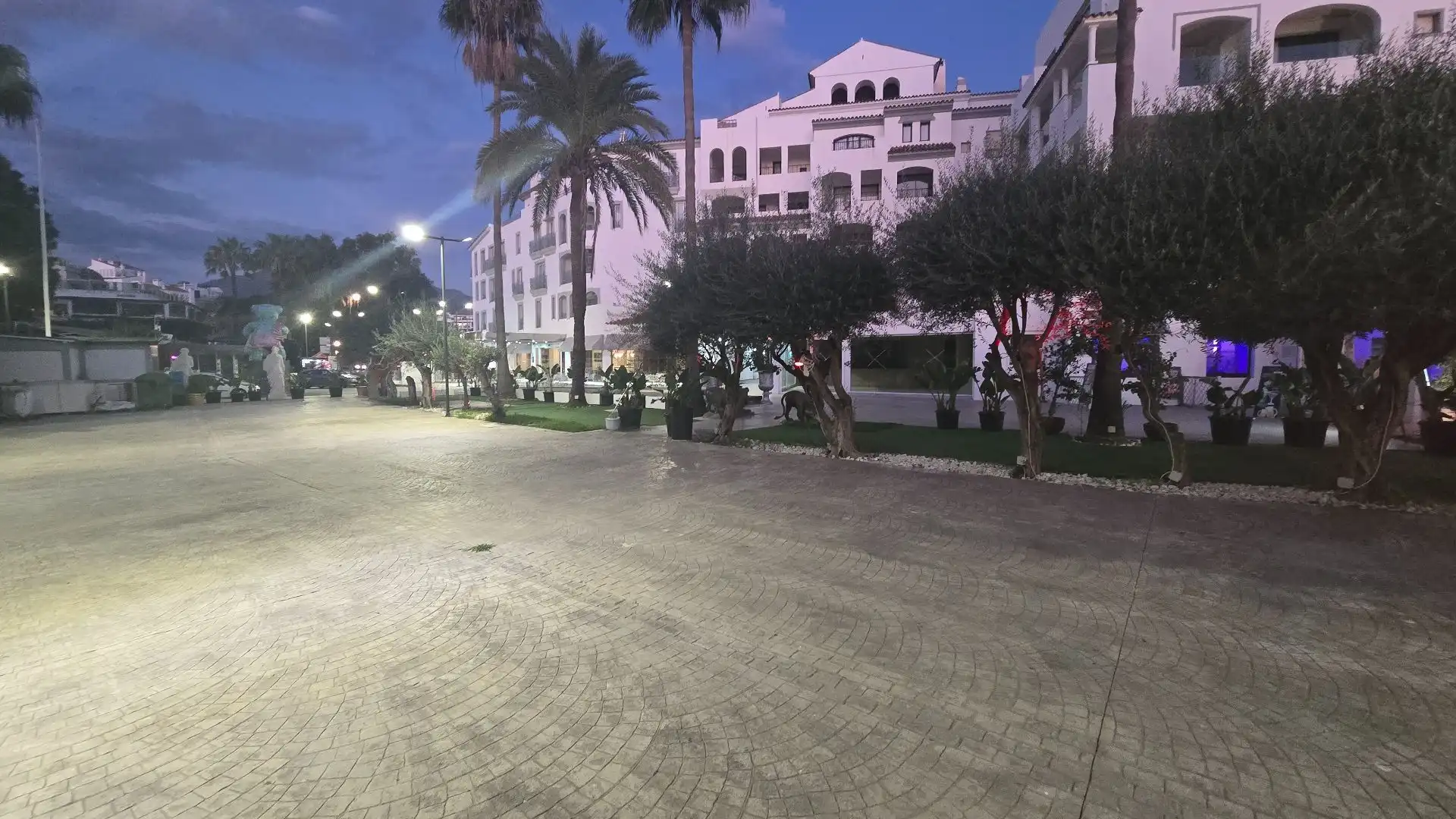 Local comercial en alquiler en Nueva Andalucía, imagen 65