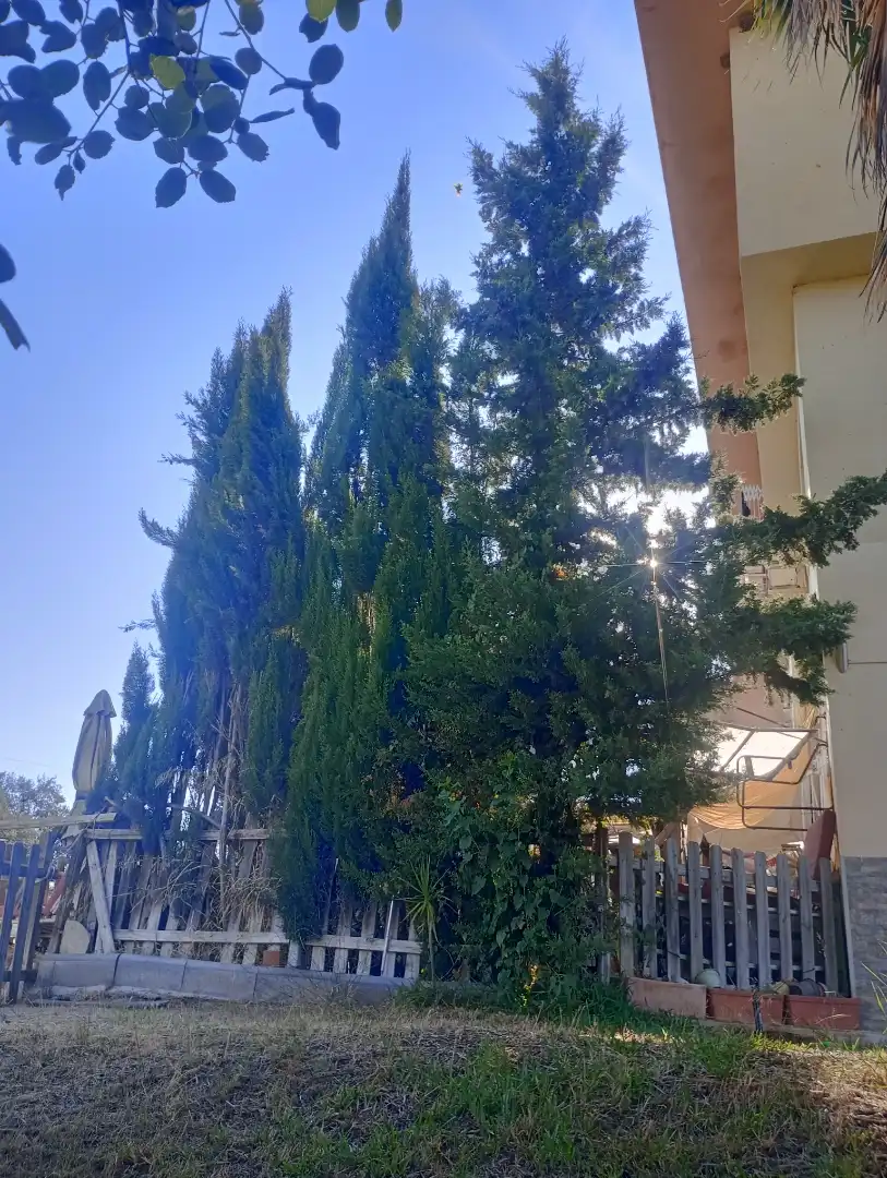 Jardín de Apartamento en venta en El Garrobo con Aire acondicionado, Jardín privado y Terraza