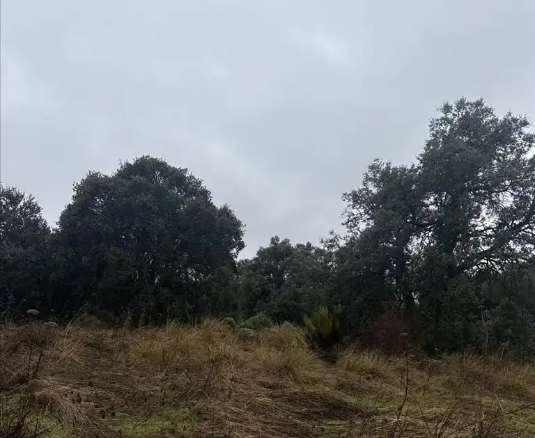Terreno residenziale in vendita a Coimbra, imagen 11